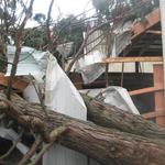 Tree through a house caused by high winds